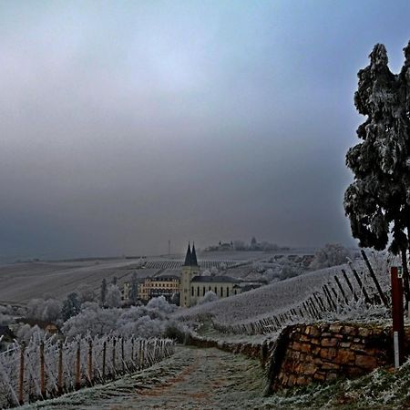 Апартаменты Auszeit Rheingauer Rosengasse Johannisberg Экстерьер фото