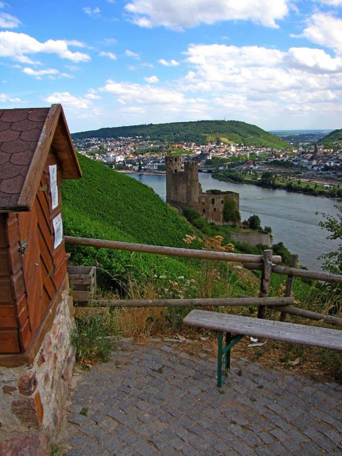 Апартаменты Auszeit Rheingauer Rosengasse Johannisberg Экстерьер фото