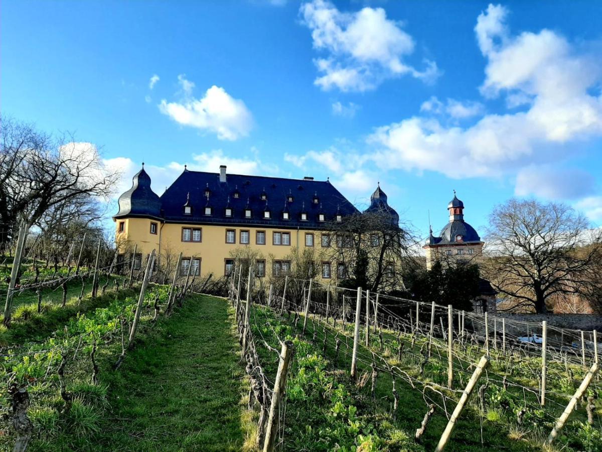 Апартаменты Auszeit Rheingauer Rosengasse Johannisberg Экстерьер фото