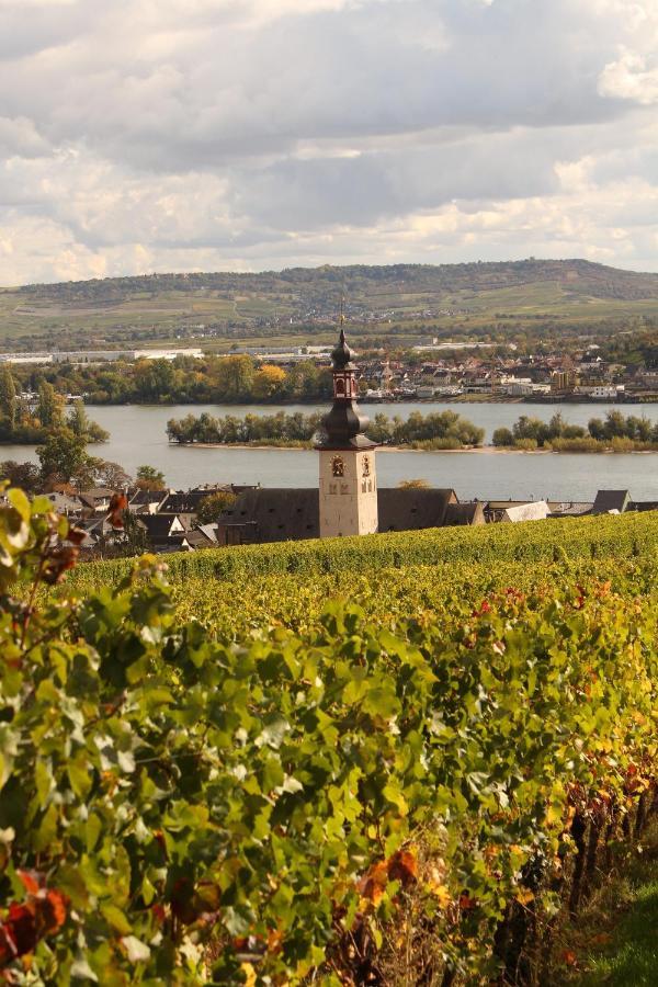 Апартаменты Auszeit Rheingauer Rosengasse Johannisberg Экстерьер фото